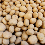 冷蔵保存したジャガイモには発ガン性物質が含まれる？