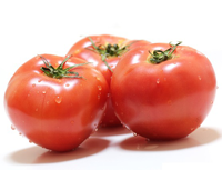 夏野菜の代表格「トマト」